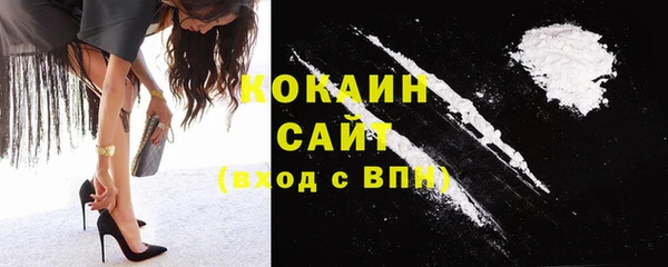 стафф Коряжма