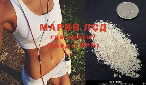 стафф Коряжма