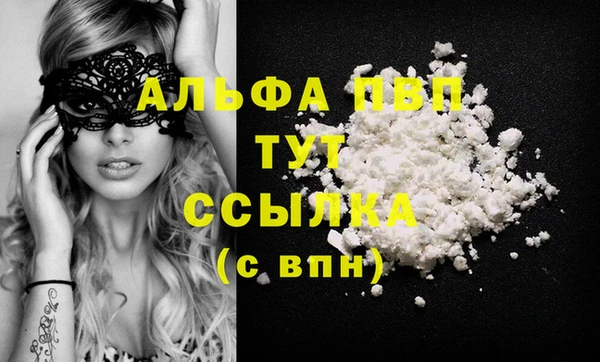 стафф Коряжма