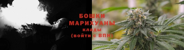 шишки Бронницы