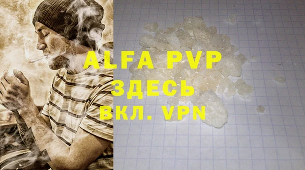 стафф Коряжма