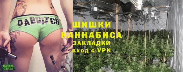 стафф Коряжма