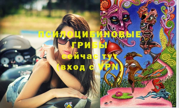 шишки Бронницы