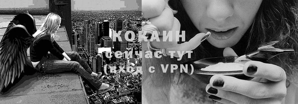 стафф Коряжма