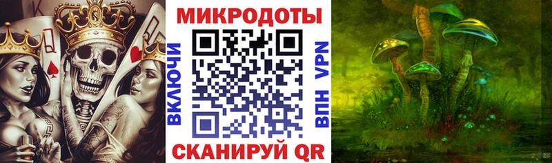 купить наркоту  Хабаровск  MEGA   Галлюциногенные грибы мухоморы 