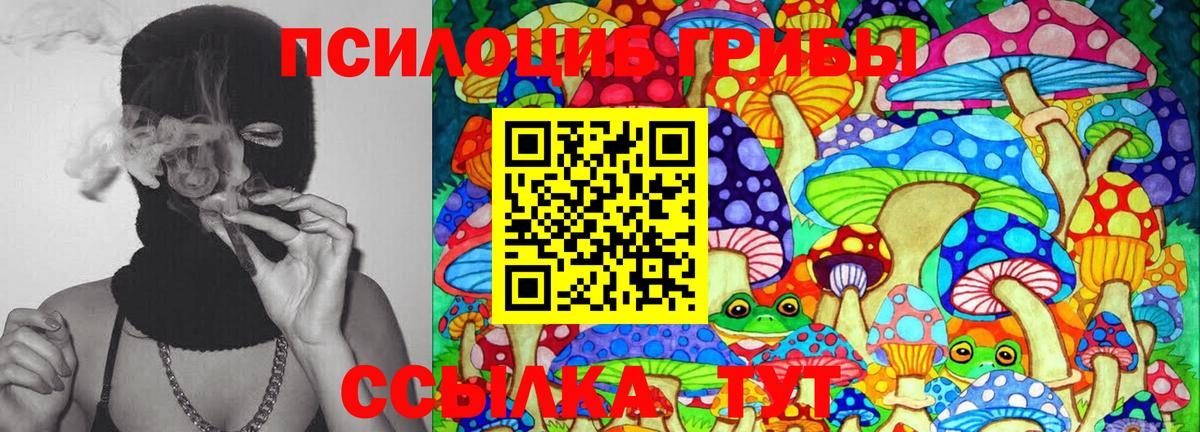 Галлюциногенные грибы Psilocybine cubensis Хабаровск