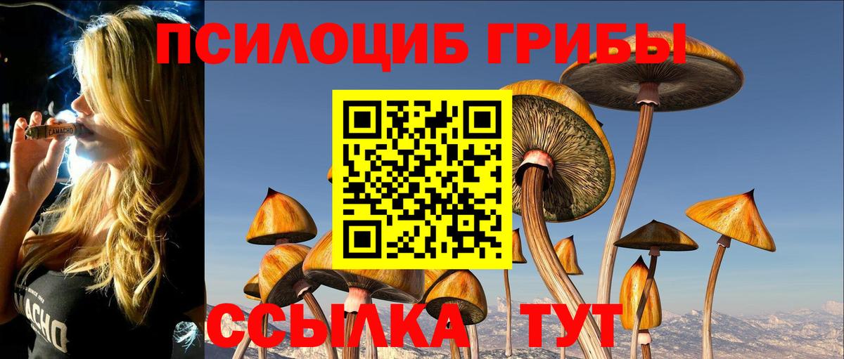 Хабаровск  Псилоцибиновые грибы GOLDEN TEACHER  Вход с VPN 